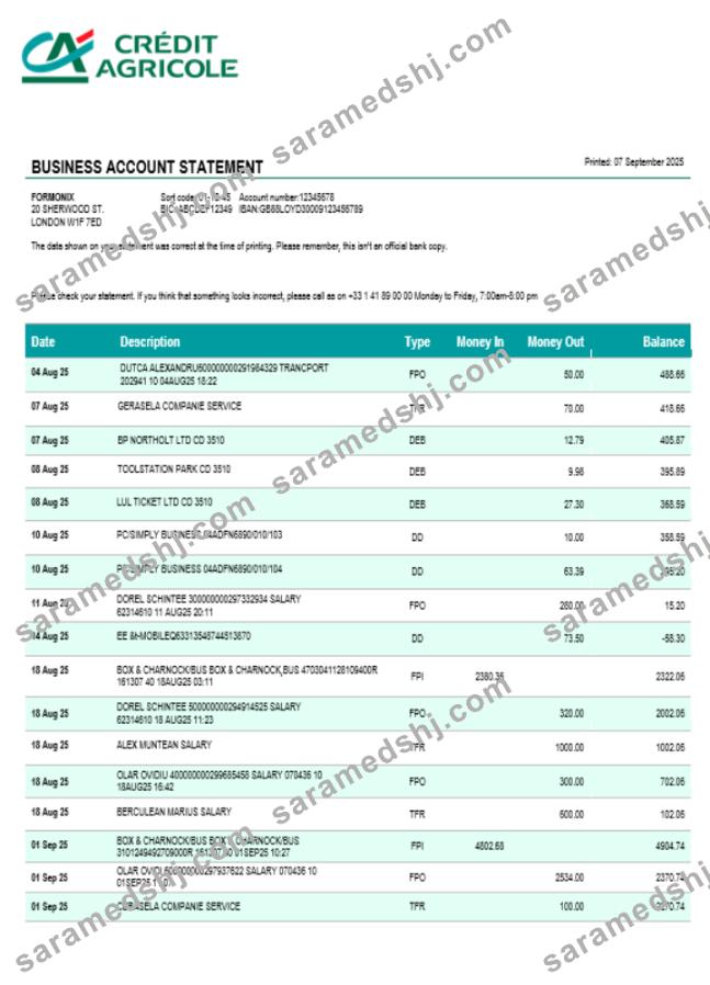 Credite Agricole company checking account statement Word and PDF template